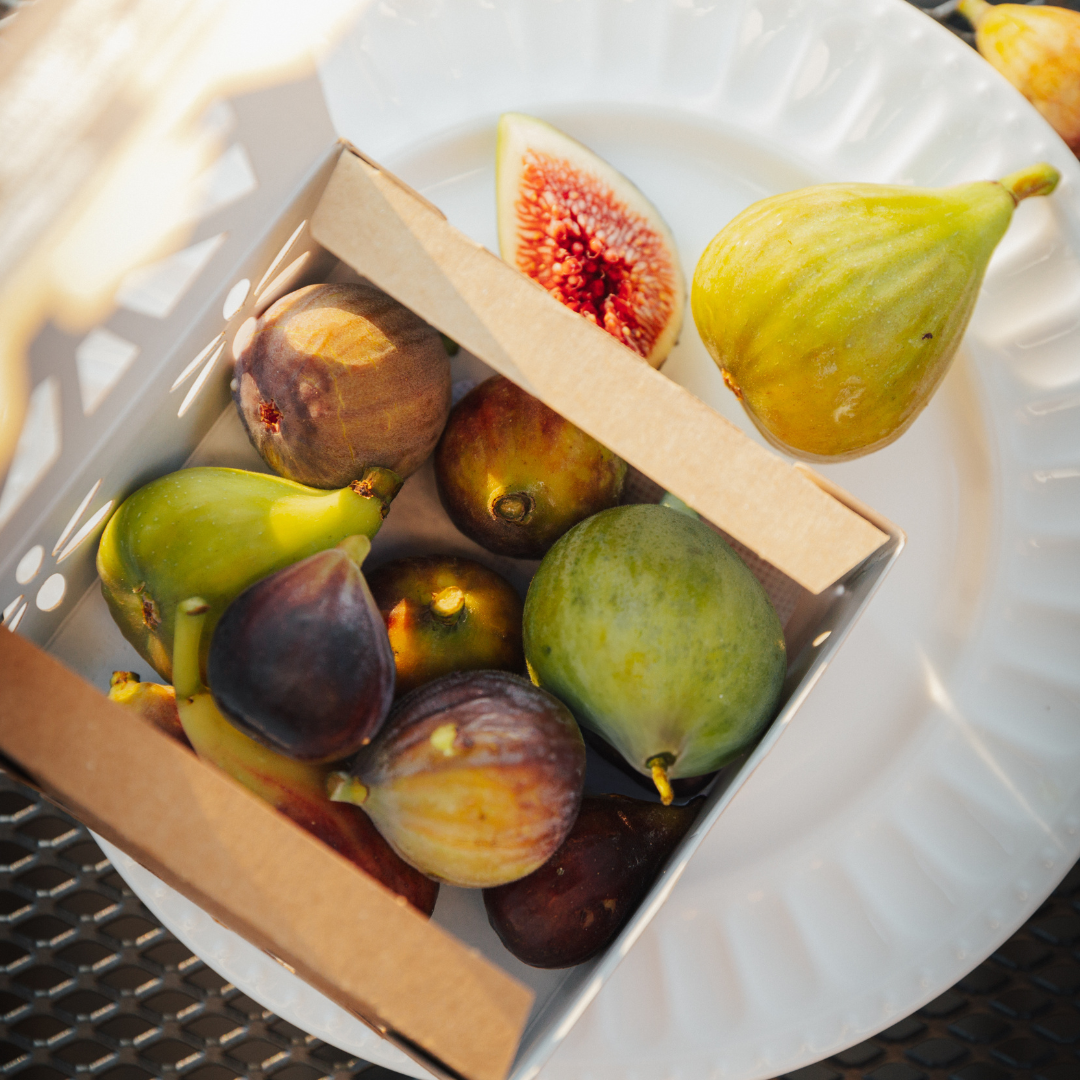 Figues fraîches